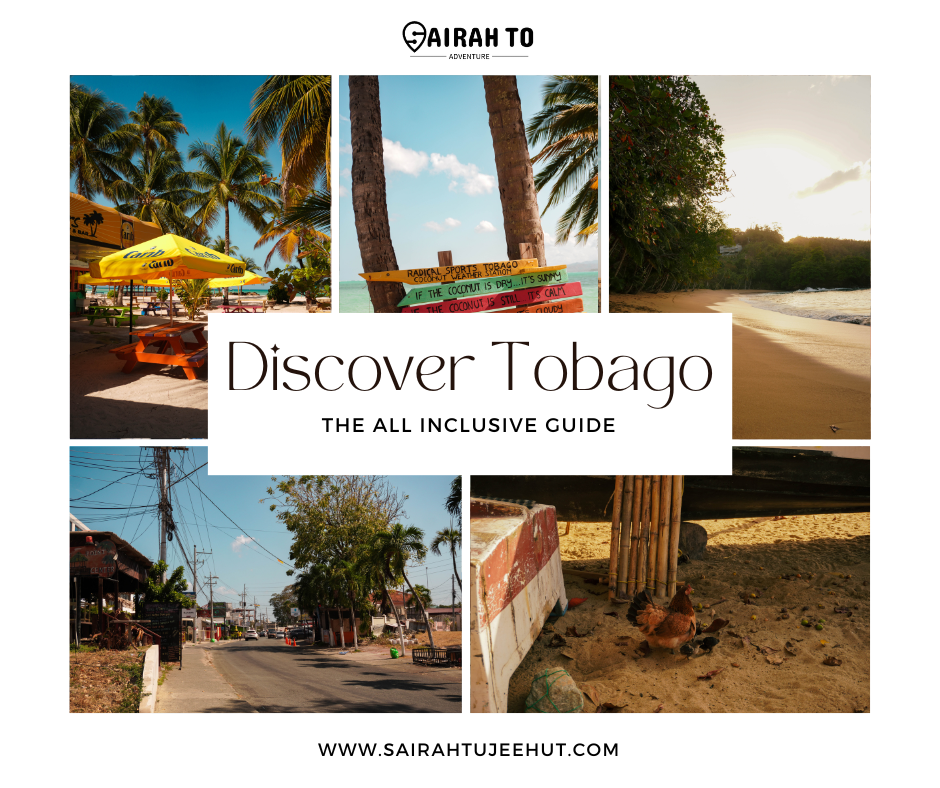 Discover Tobago: your all-inclusive guide to the jewel of the&nbsp;Caribbean